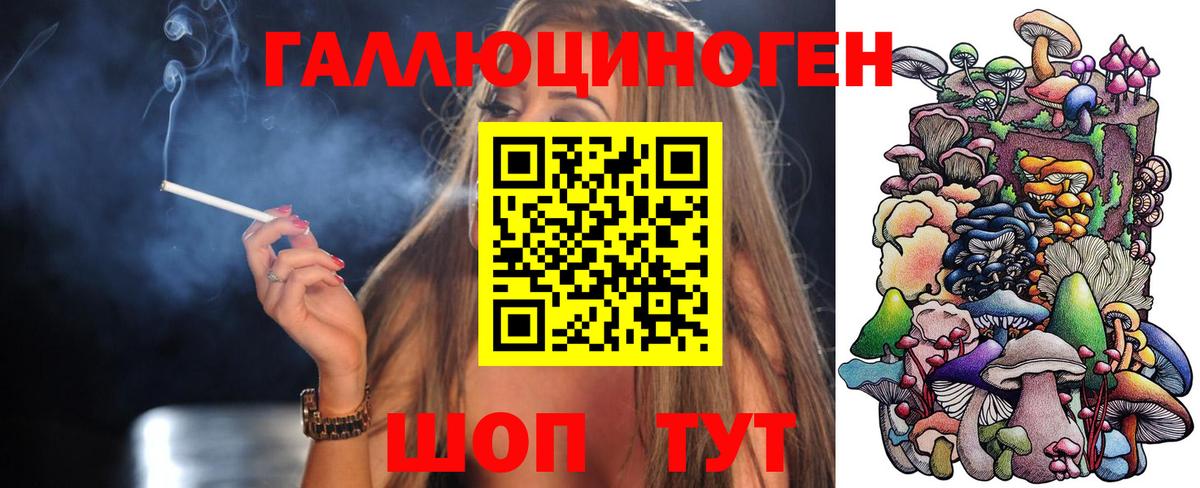 Псилоцибиновые грибы GOLDEN TEACHER  Вход с VPN  цена наркотик  Павловский Посад  Галлюциногенные грибы Psilocybe 